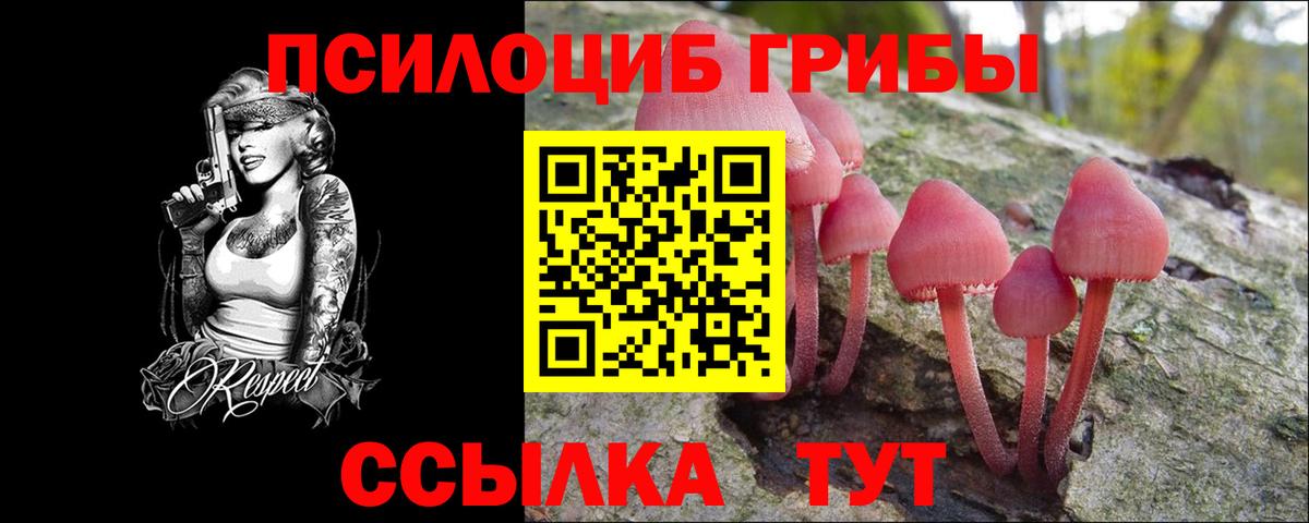 Псилоцибиновые грибы Psilocybine cubensis  Вход с VPN  Евпатория 